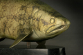 Image for 'New Sculpture: Brook Trout' announcement.